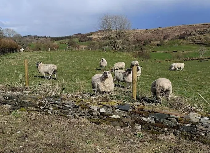 The Wee Hous Cresslough