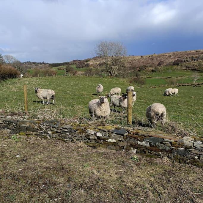 Hébergement de vacances The Wee Hous Cresslough